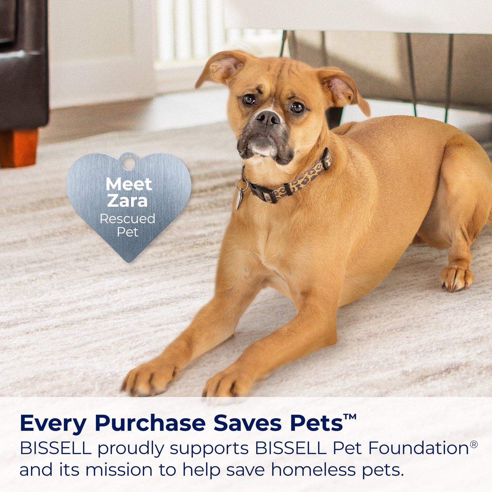 bissell cleanview swivel pet upright vacuum 3832 61017b 07.jpg bissell cleanview swivel pet upright vacuum 3832 61017b 07.jpg