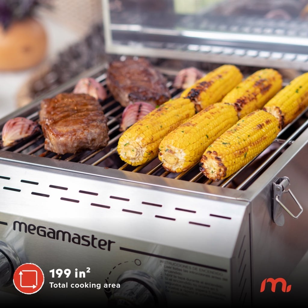 megamaster 2 burner portable stainless steel gas grill with built in lid 16 000 btu folding legs propane 820 0033m d81daa 01.jpg