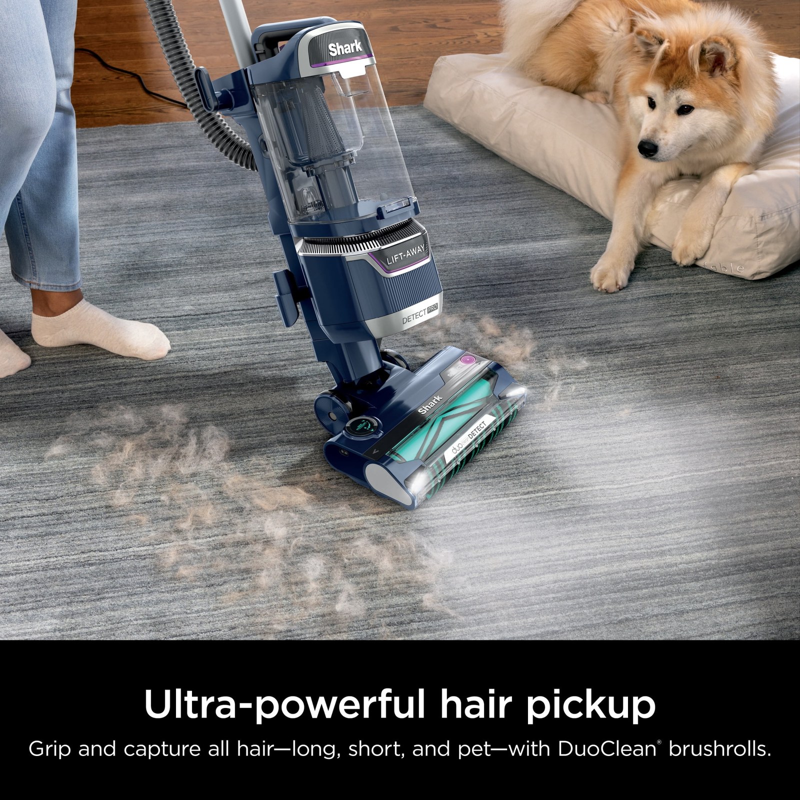 shark detectpro lift away adv upright vacuum with duoclean powerfins la800 royal blue 90eaca 02.jpg shark detectpro lift away adv upright vacuum with duoclean powerfins la800 royal blue 90eaca 02.jpg