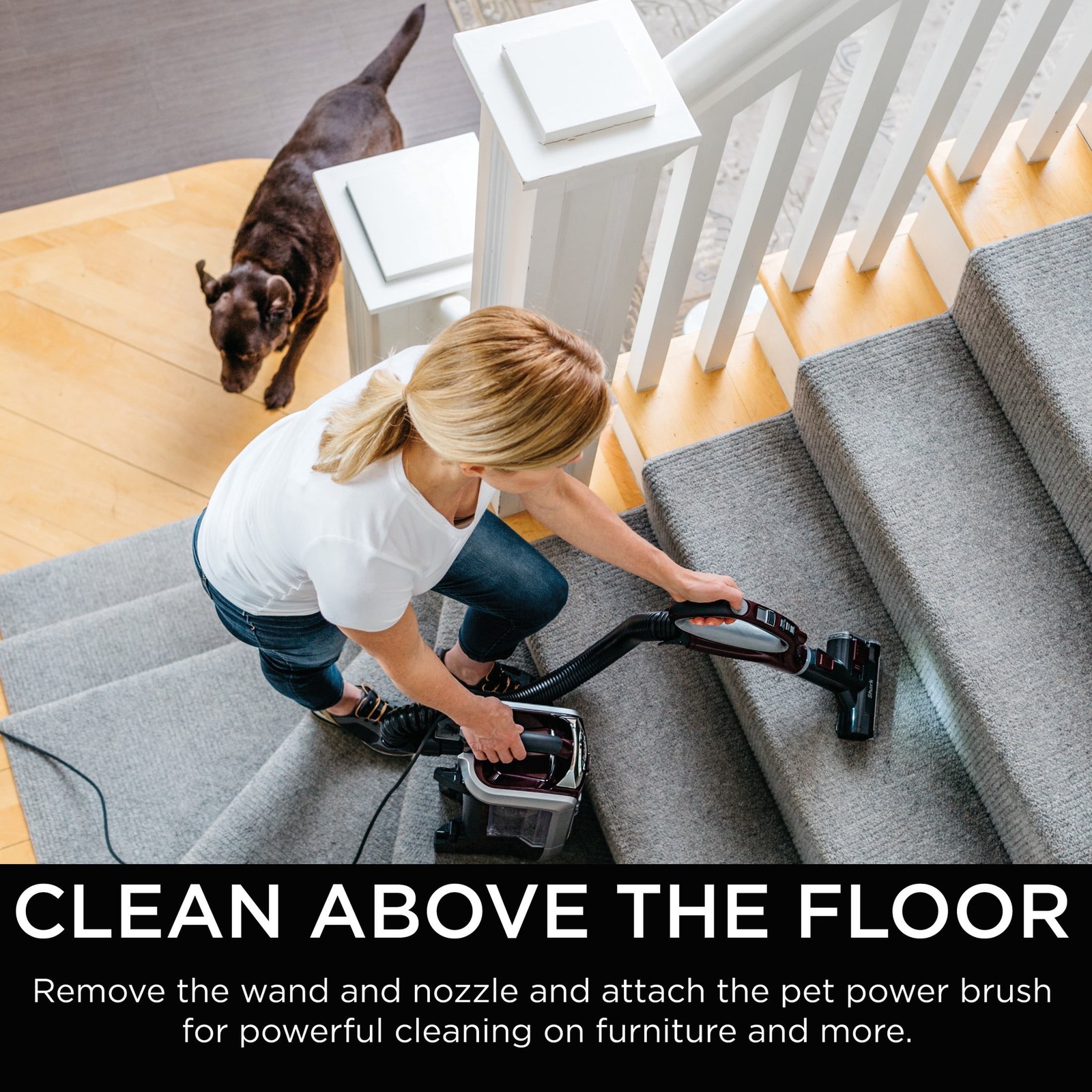 shark rotator powered lift away truepet nv752 upright vacuum with hepa filter and swivel steering bordeaux 9db642 01.jpg